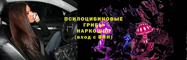 индика Сатка