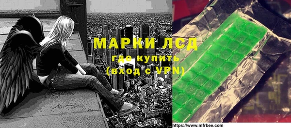 индика Сатка