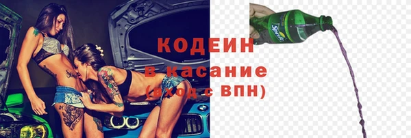 индика Сатка