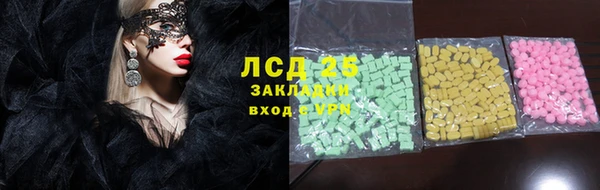 индика Сатка
