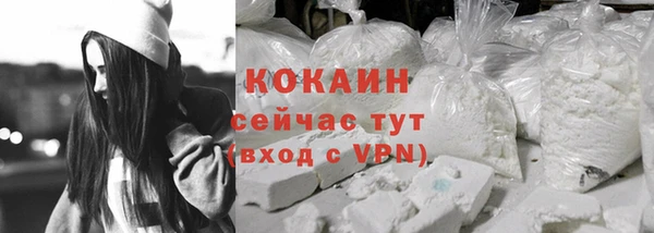 индика Сатка