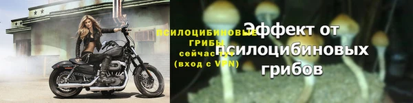 индика Сатка