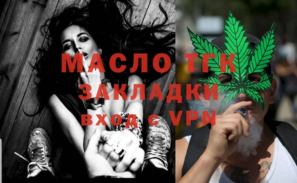 индика Сатка