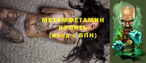 индика Сатка