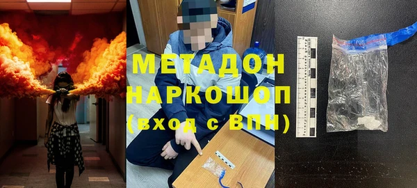 индика Сатка