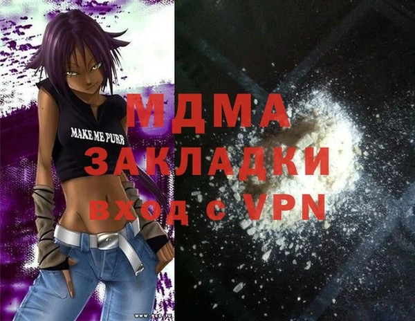 индика Сатка