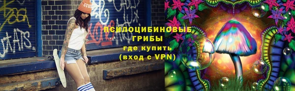 индика Сатка