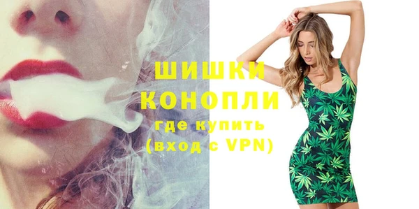 индика Сатка